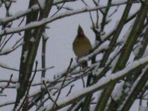 46799f94bdd62cb99ce99ab8688376d97142e12a.png