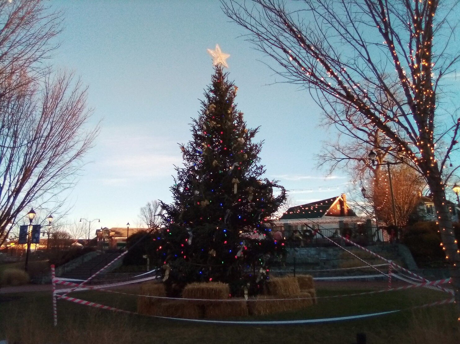 4c52b6788e5458240edd7c2050e66a37680a6016.png