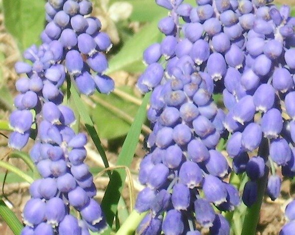 d3114917ea2d30d73f3c474e452e593049cd7ffa.png