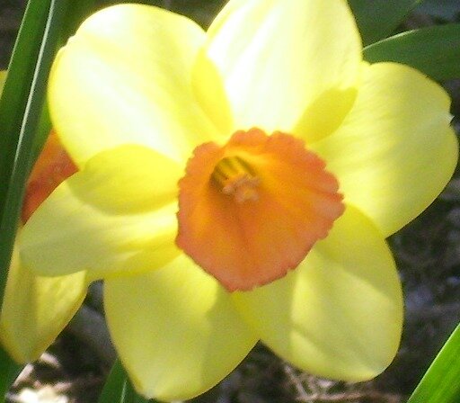 febcea5de944769e4ac0f6af507e716ec0e746ff.png