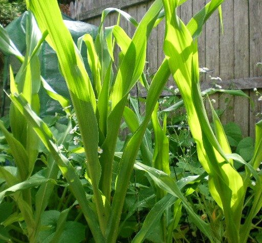 3f6edaf2c9318dc58b1edc7a534c4d636f2c10b0.png