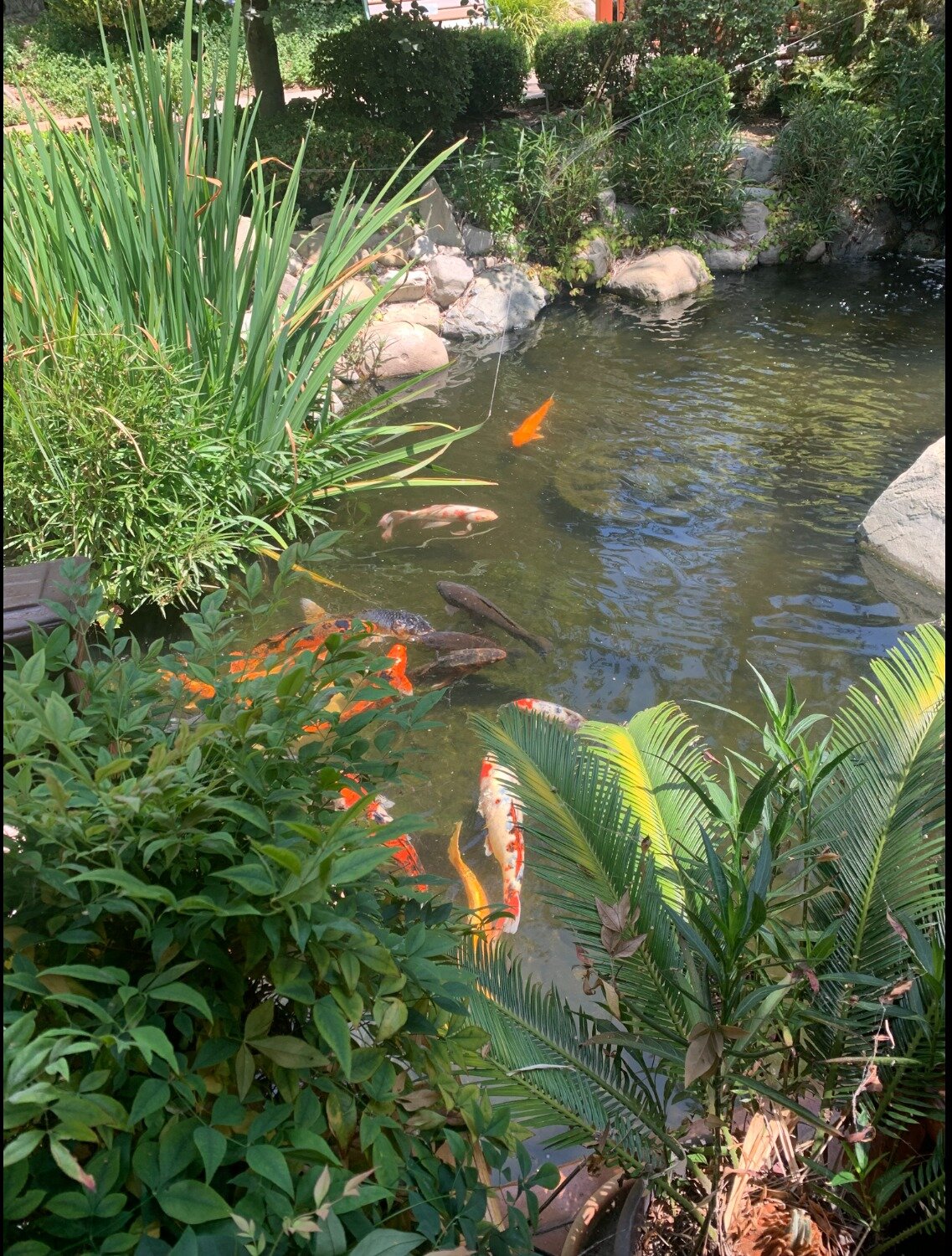 6bcec1ad418ed5ff178386a0a2922040443897c5.png