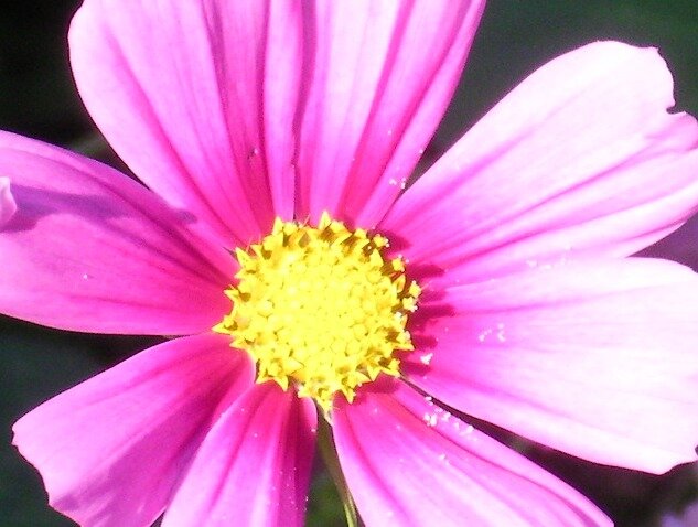761228c62d23307c96da1ce1833ce17da6146e1c.png