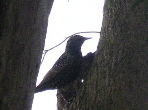 2285ec941ab092a728e32586f471ae21b883b0cb.png