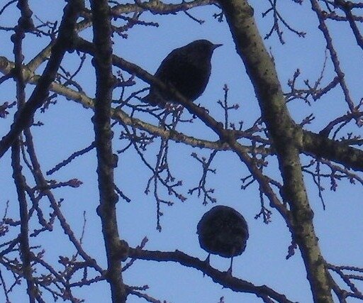 901103f4fa2091da934da4f6ce17df835118018f.png