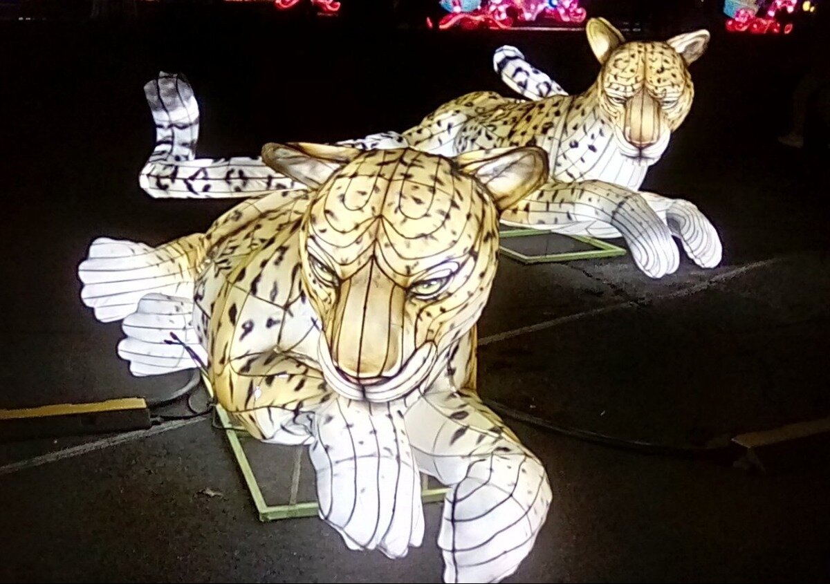 a0edef6406ce3d9313b53f3fcf00b3342762ef34.png