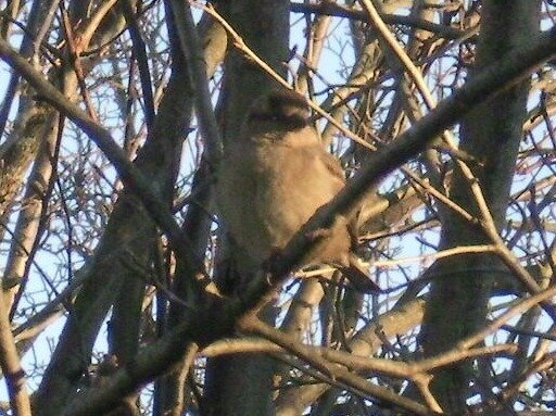 b4599561568a6e56f39ac4ad5e0cb81796eb3265.png