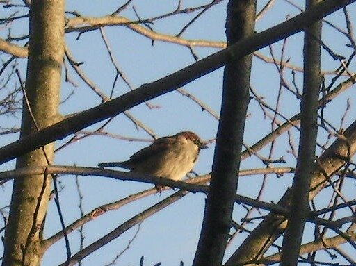 fc3230a676cdd74ed7455556a3cc75810775af1d.png