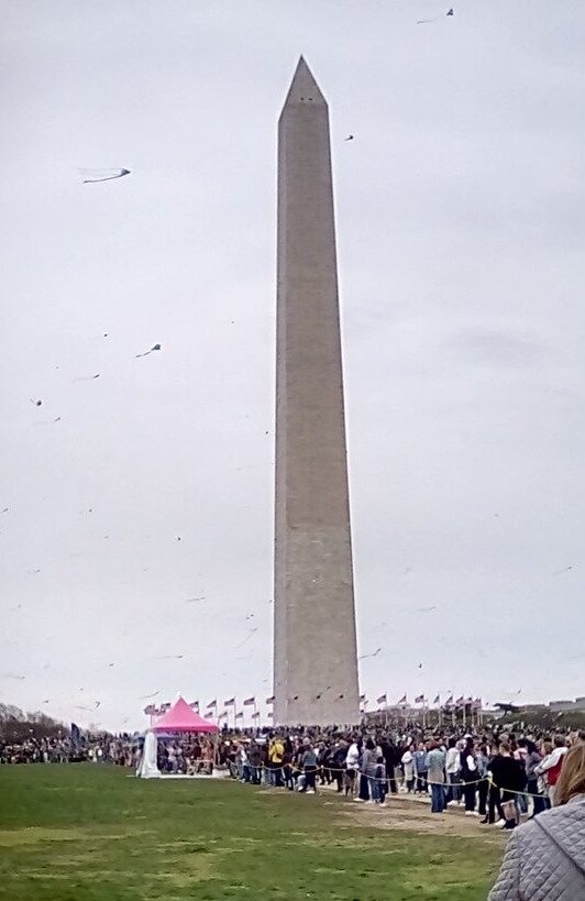 a72f09cf2f06a61984a939a4d2fd0a3fc1c46e7b.png