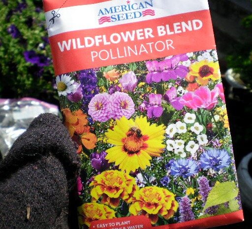 56ac888b74e967514a431e656d16739f300be0c3.png