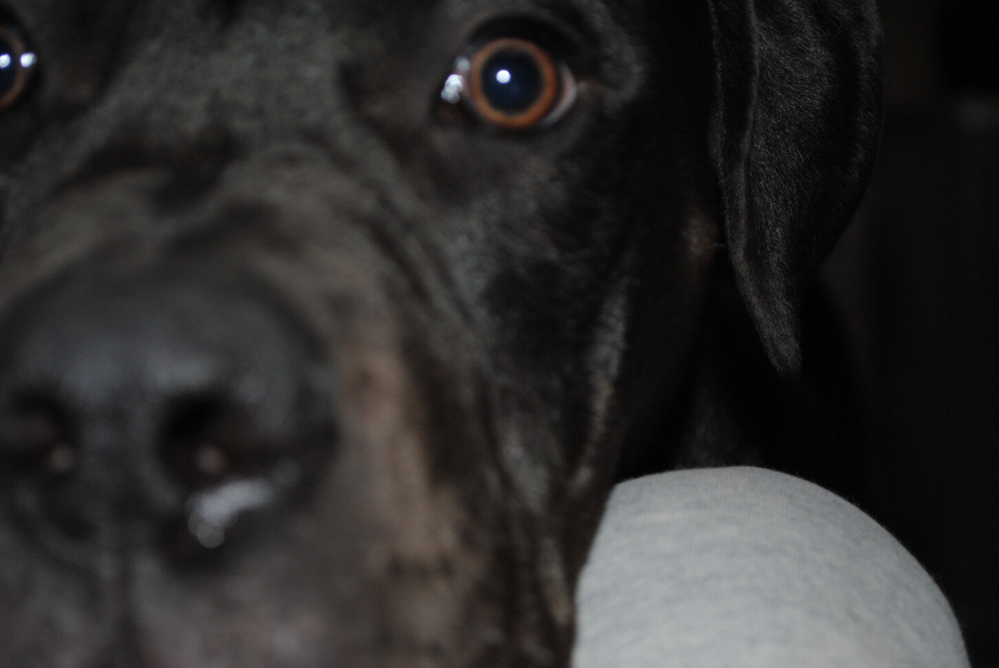 7bc37db217b4c53fe26078bd444c4f27e7b07c65.png