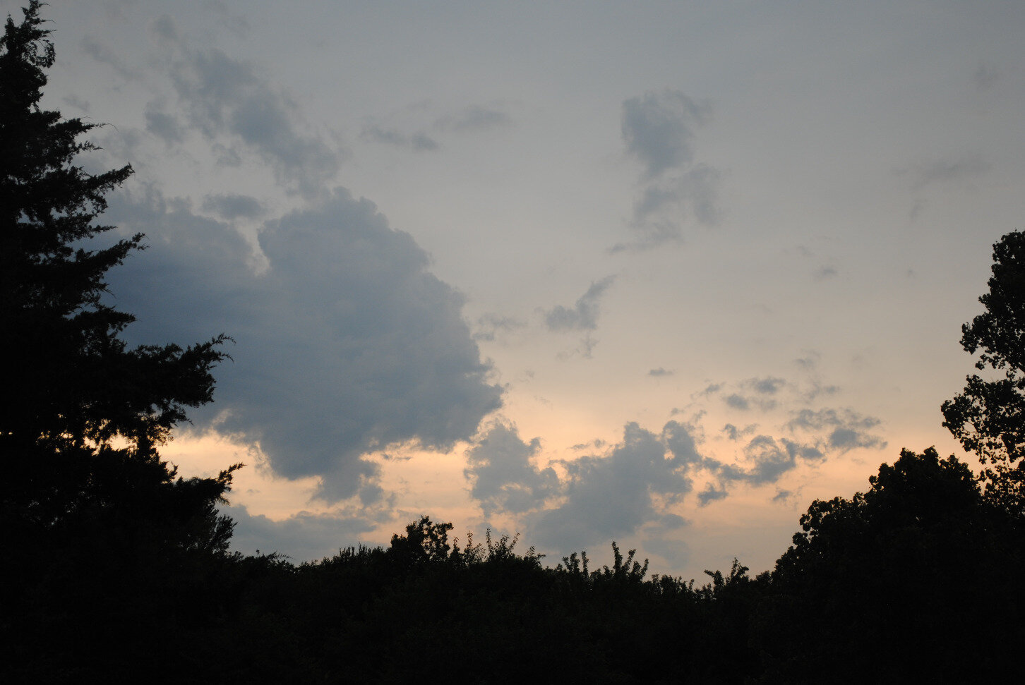 17d800513d97262cd77b3fd25b3d186c5471e49c.png