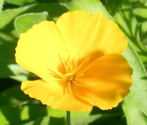 25094e86c44491f87a81f18fddecde6908e01032.png