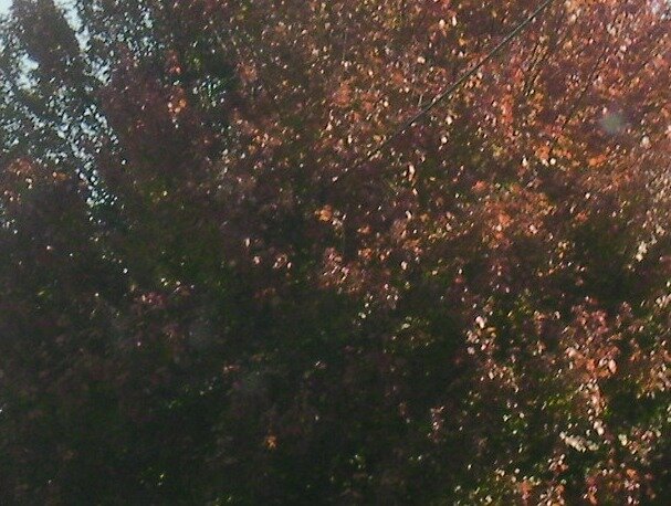 23bf7a3d1e11f902198b0465ea822adc5b4b600b.png