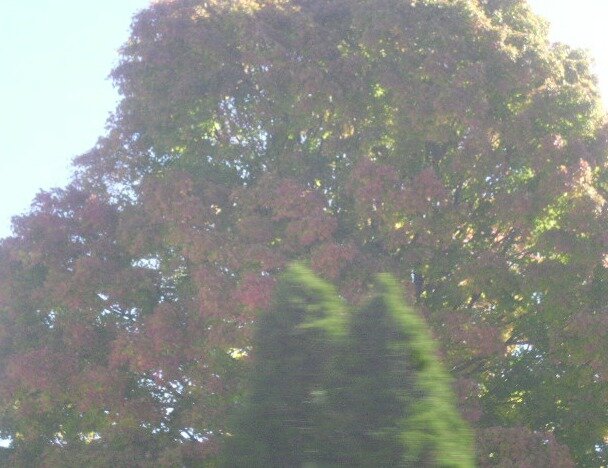 d33ea4e10eba1a81eaaa62b4bd5608b222c7f09e.png