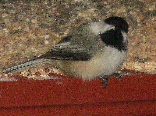 8d5f95678fab0bd69438a839fd0b61df744ae727.png