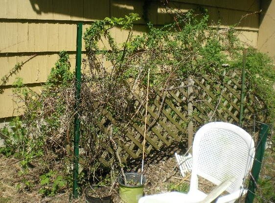 00c703b3372aa51febf65940c4e2324407edf1c0.png