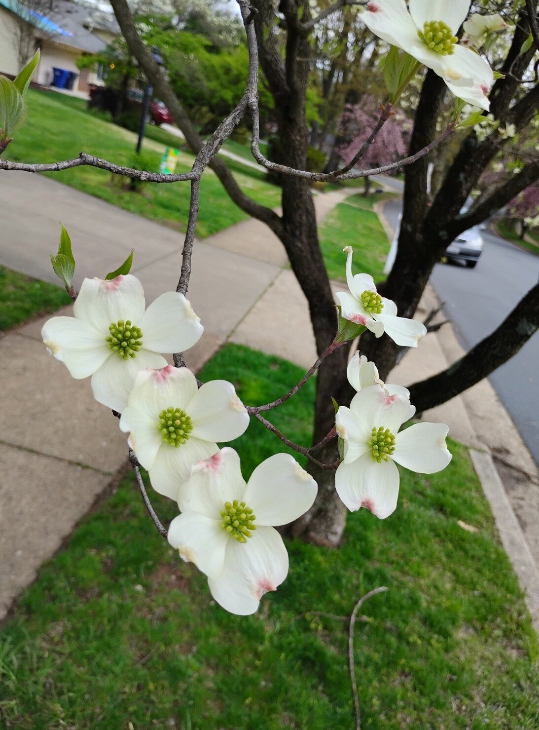 0c8da1eec09835ec5e042195ecc00f04d8e39827.png