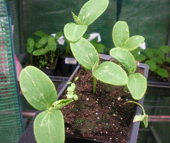 409f3f05ecff24c2930217f74fbf23844fb91d03.png