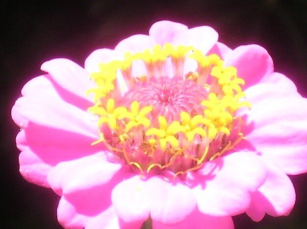 9b90af32dd2b7460aef71eb861fd04cee2a02b57.png