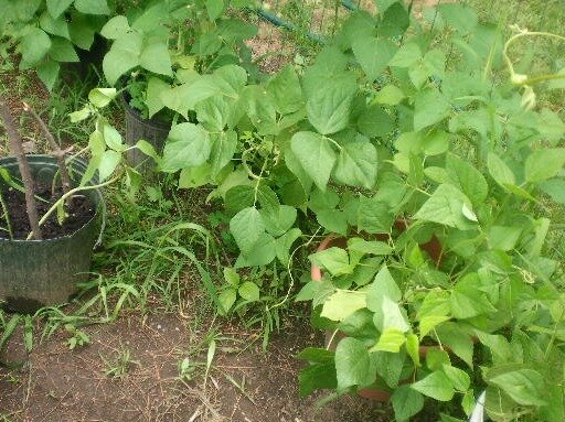 d7dad924b09dae17fdba82d22dba8909ea1a6212.png