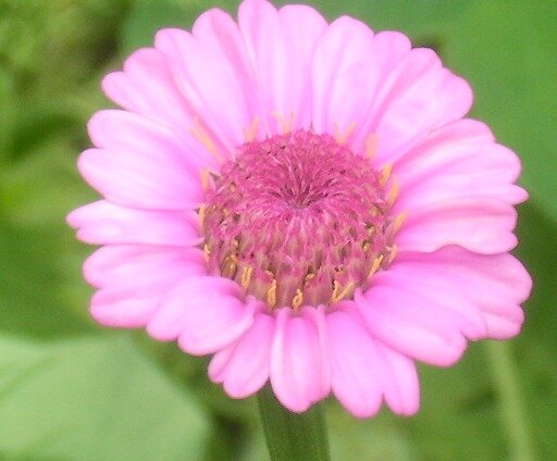 d8bee4287efe08ab7ed84265e8878e2e3e79d178.png