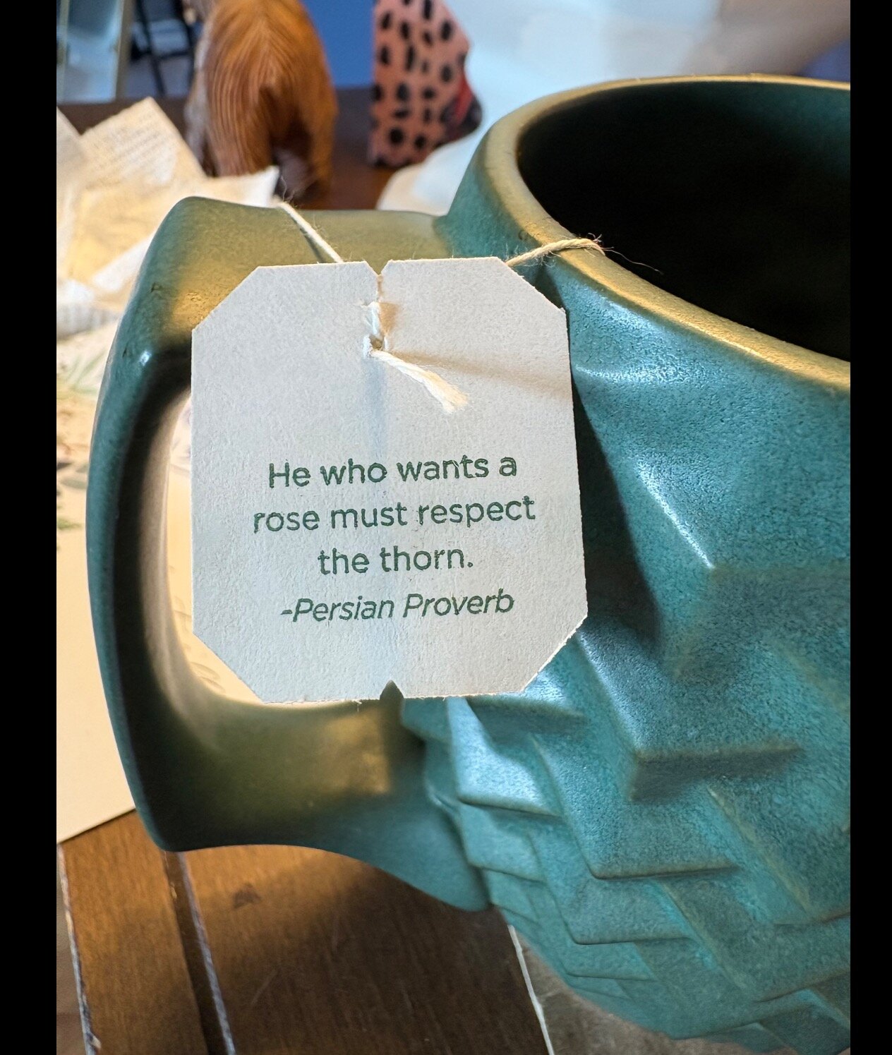 a2a7d0c44a46ec768a899bb283696963f31ce760.png