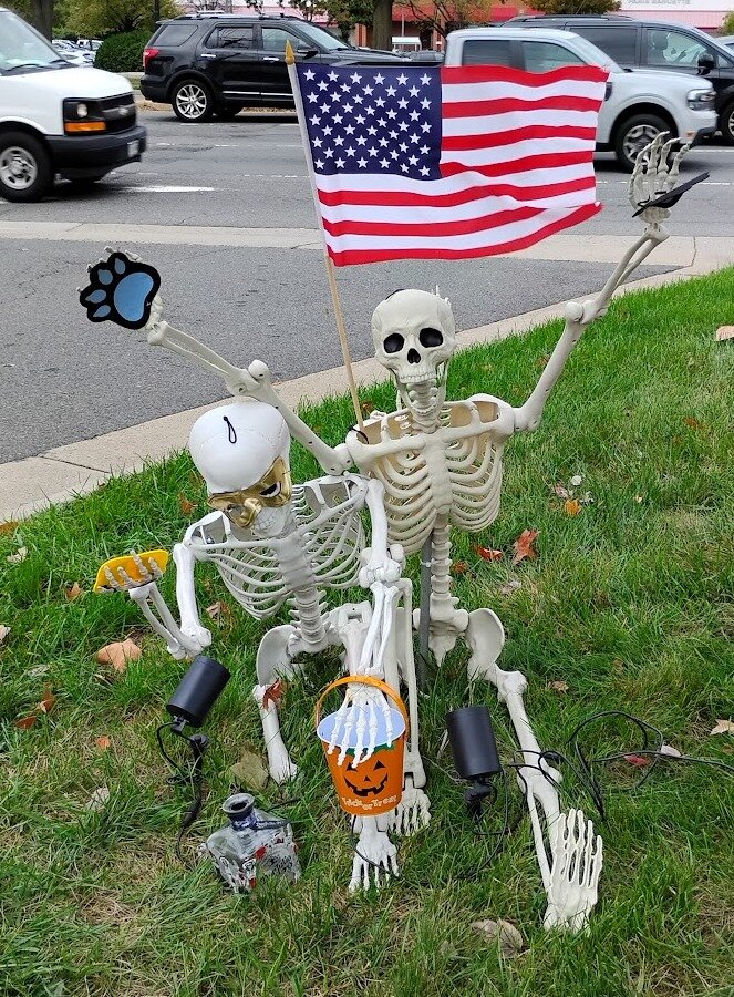 3df543ecaabe2cf1865e5995f54c99abba6d79ea.png