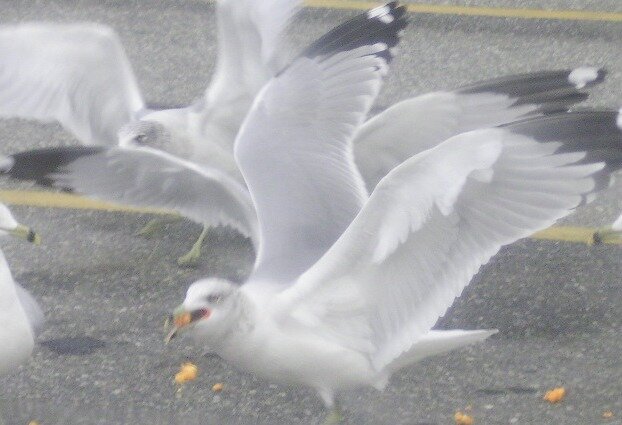 af0cc07c55da7747bcdd24bc5b3b422f1328ed35.png