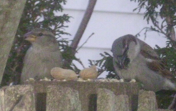 ecc71f0d5c530e18e2abea3bbc05d12d8386cad7.png