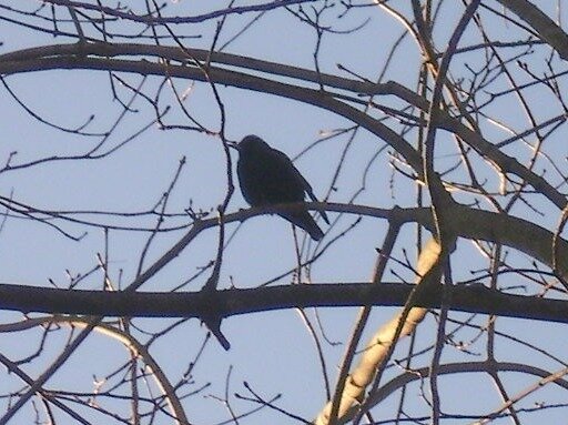 758b59000af676ce6a3b18c0a85c2bdd6ff896c3.png