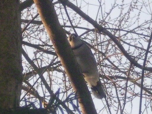 cc12811f3fff23dc3471e58e7a85c4cd1fd48179.png