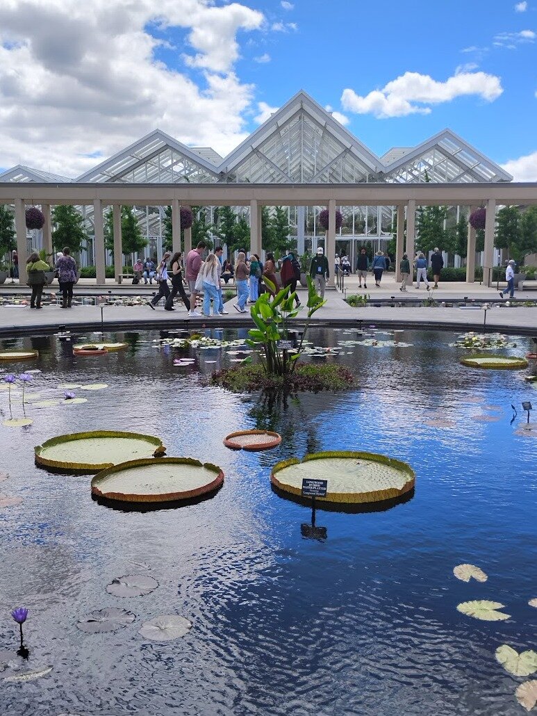 88e636cd6af613daaea9be0f5098023cfb4d6c8e.png