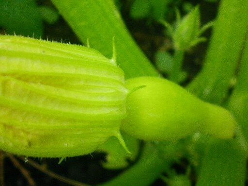 affbdbf1131dcee4a4c4dbeeab29c7e07368de4d.png