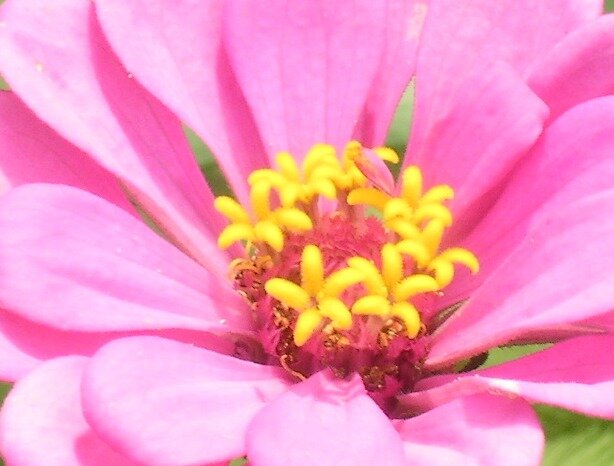 9b419d9c13ae5a7efad79314b16d7401f439b339.png